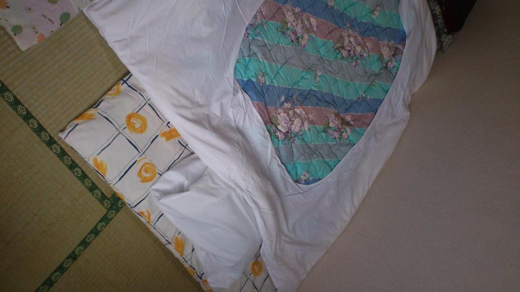 Hotel New Hakuginso NakaNakafurano Habitación foto